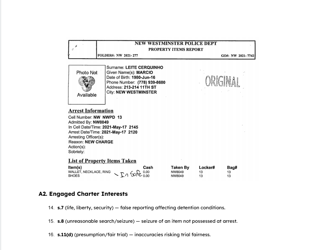 Property Intake Record — document preview